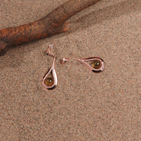 Blue Amber earhooks