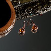 Blue Amber Earhooks