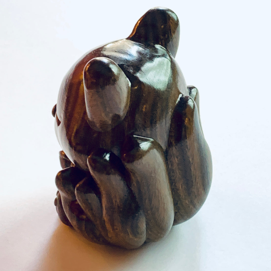 Argentine green sandalwood nine-tailed Fox